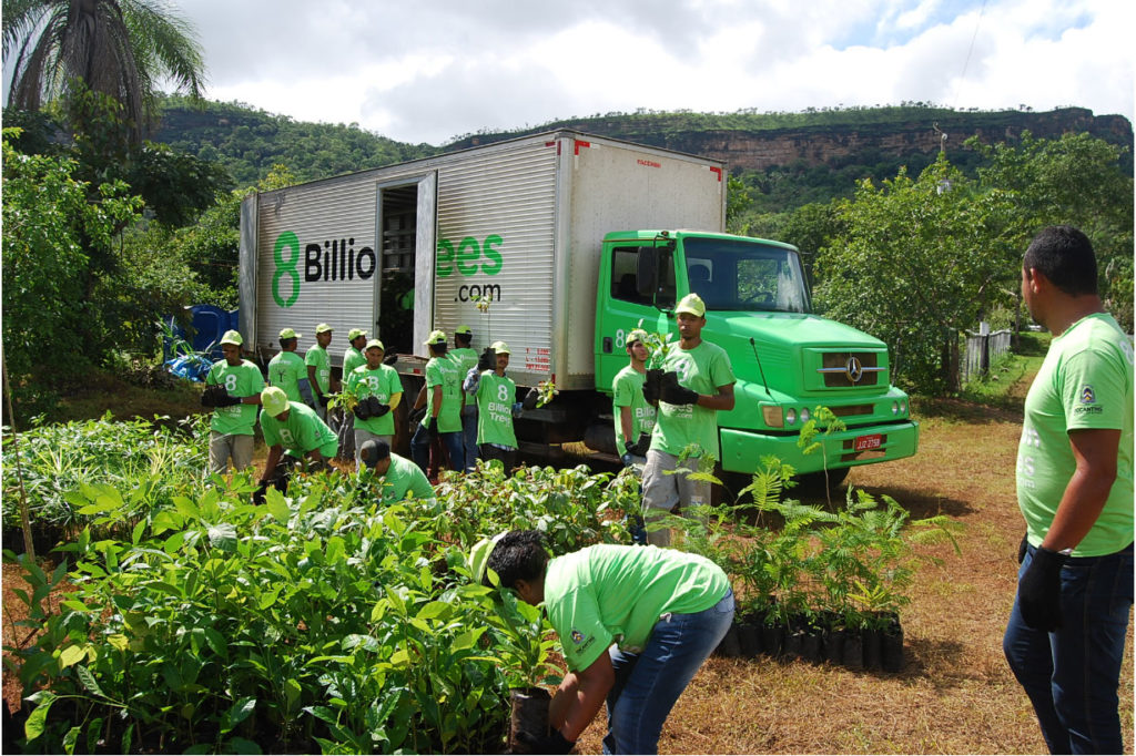8 Billion Trees - Planting Team