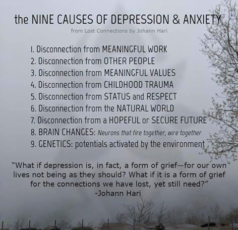 The 9 causes of depression and anxiety - Johann Hari